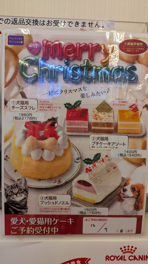 PXL_20251105_022747530