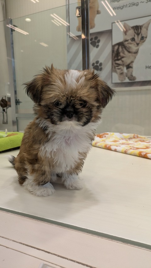 PXL_20251105_022606545