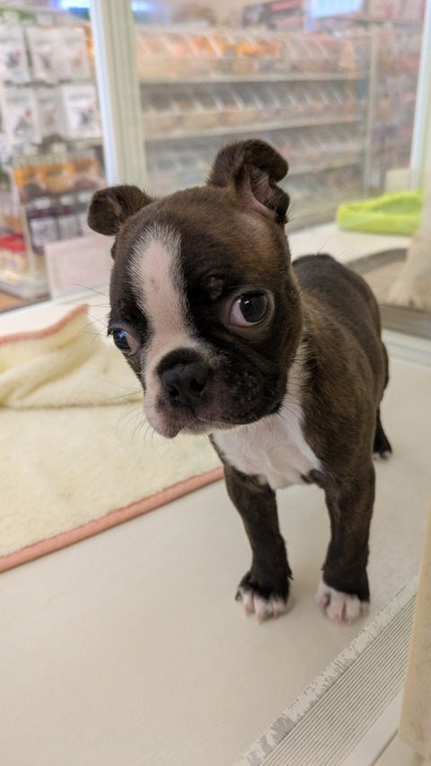 PXL_20251105_022422552