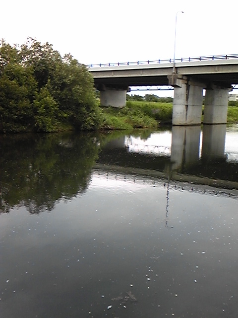 七北田川釣行 ミッチーイズム