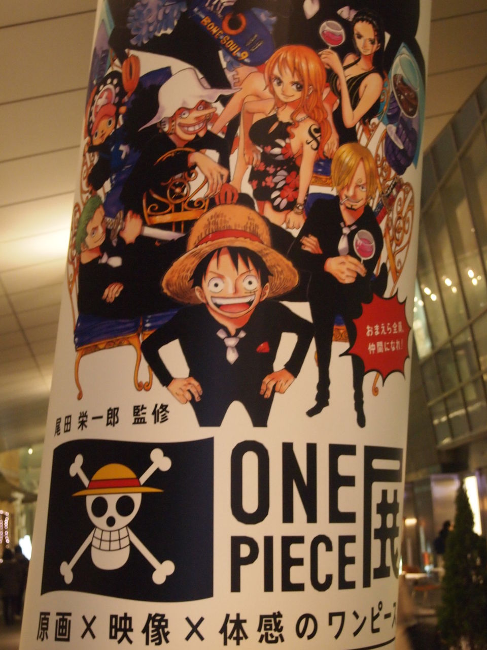 ワンピース展 閲覧後には ビブルカード がもらえる Onepiece展オリジナルグッズ情報 ワンピースフィギュア Pop 予約 新作速報 ワンピース展 閲覧後には ビブルカード がもらえる Onepiece展オリジナルグッズ情報 ワンピースフィギュア Pop 予約 新作速報