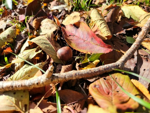 20251103_082305_resized_1