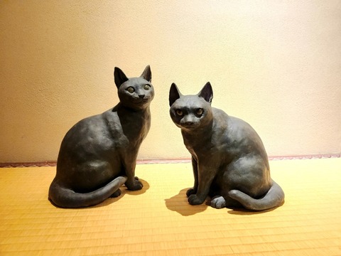 20250918_161814_resized