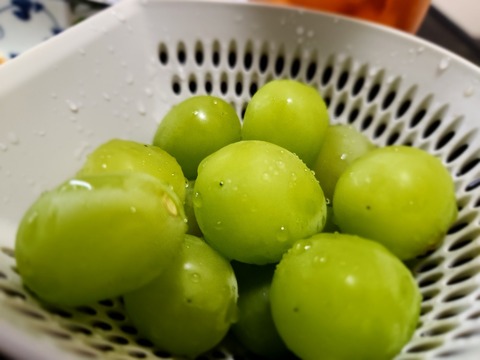 20250828_083502_resized