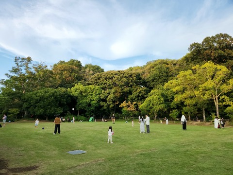 20251013_162604_resized