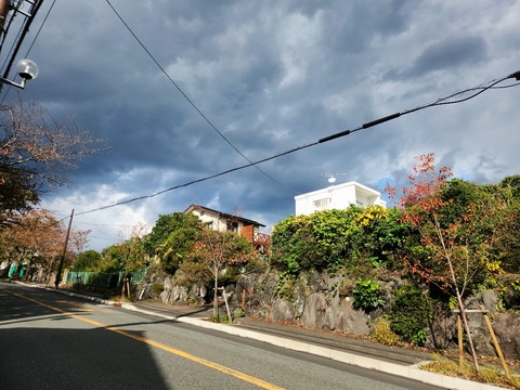 20251103_133540_resized