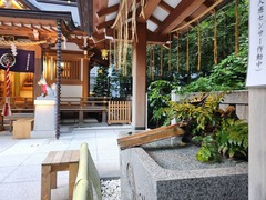 20250725_165949_resized