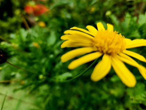 20260918_084257(1)
