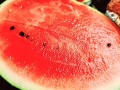 20250612_145319_resized