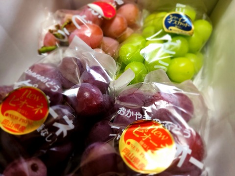 20250823_144302_resized