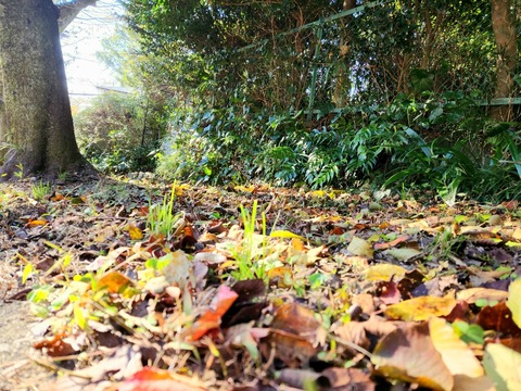 20251103_082108_resized_1