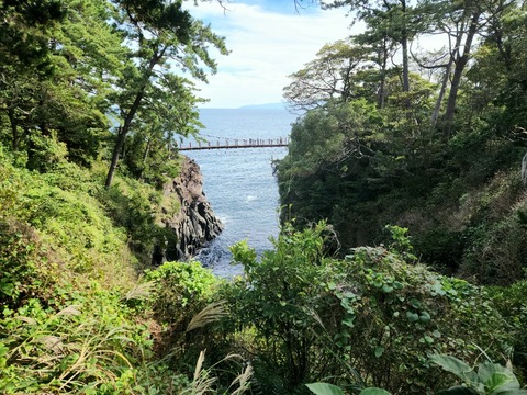 20251104_115517_resized