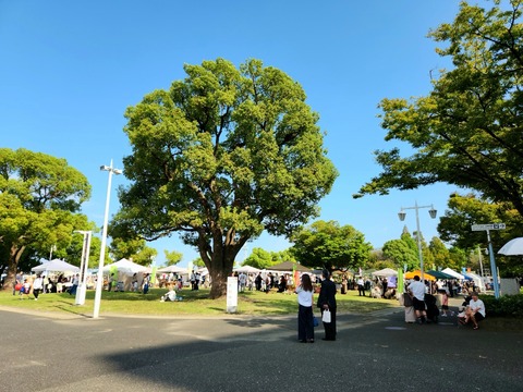 20250927_135158_resized