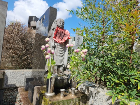 20250907_094917.heic_resized