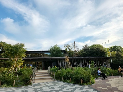 20251013_162618_resized