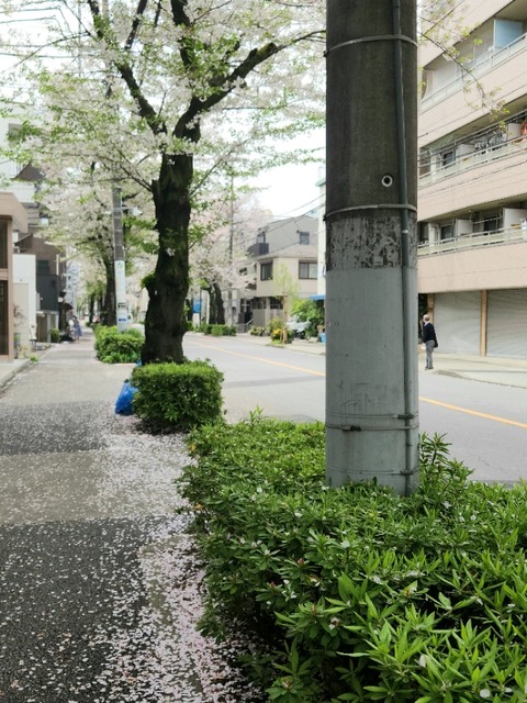 20260405_133720