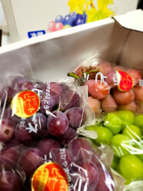 20250823_144329_resized