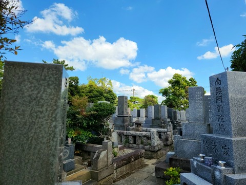 20250907_095013_resized