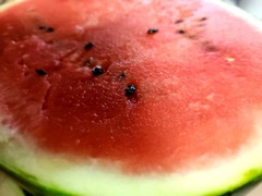 20250705_181936_resized