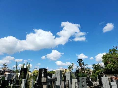 20250907_094946_resized