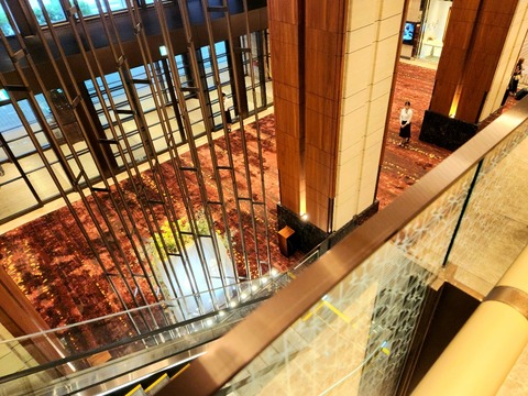 20250816_133133_resized