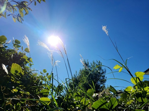 20251103_114118_resized