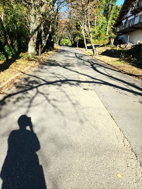 20251103_081931_resized_1