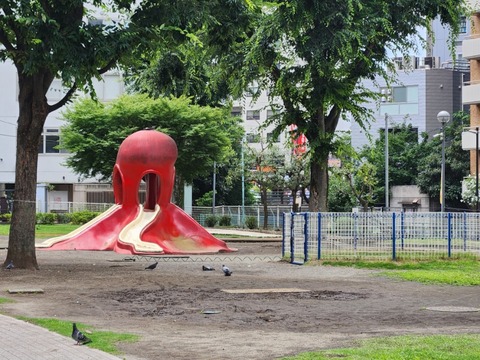 20260630_125057(1)