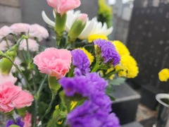 20250609_155437_resized