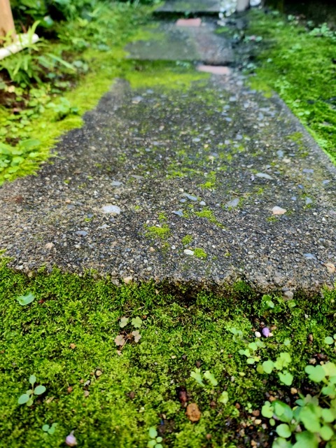 20261001_100838(1)