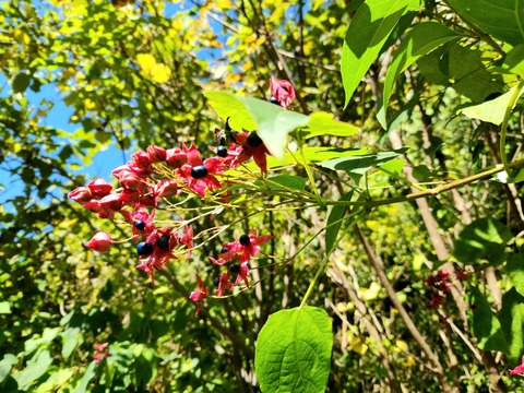 20251103_114250_resized