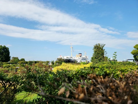 20250927_135302_resized