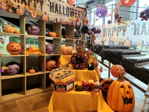 20251013_162810_resized