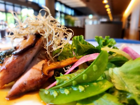 20250927_125200_resized