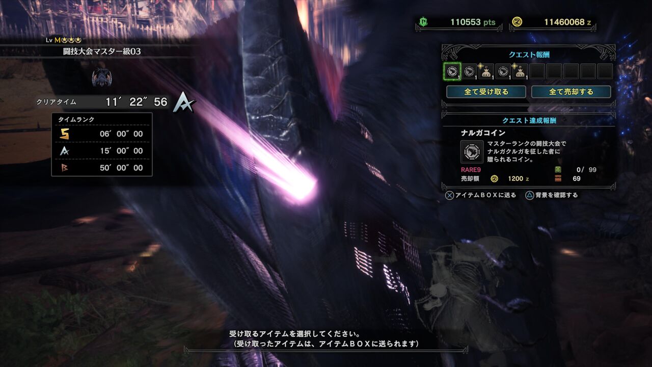 ｍｈｗ ｉ 闘技大会０３ ナルガ ペアｓランク あるゲーマーの慟哭