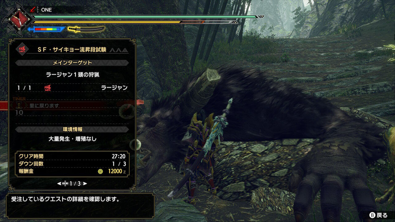 モンスターハンターライズ Sfサイキョーと花結び あるゲーマーの慟哭 モンスターハンターライズ Sfサイキョーと花結び あるゲーマーの慟哭