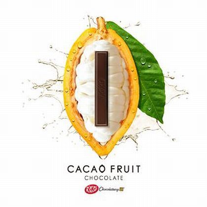 カカオの白い果肉「カカオパルプ」を使用(画像はイメージ)