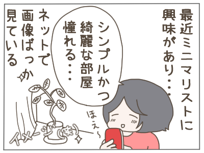 ミニマリスト1