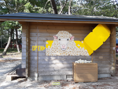 キャンプ16