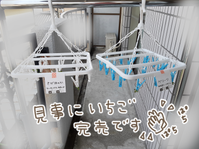 いちご狩り6