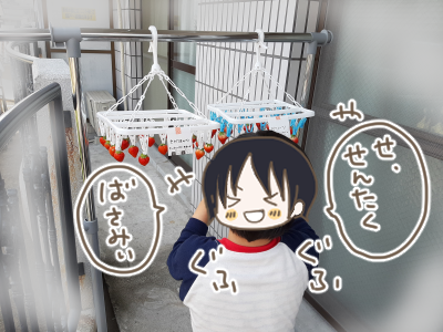 いちご狩り4