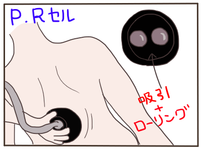 セル1