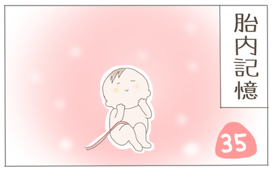 胎内記憶 表紙