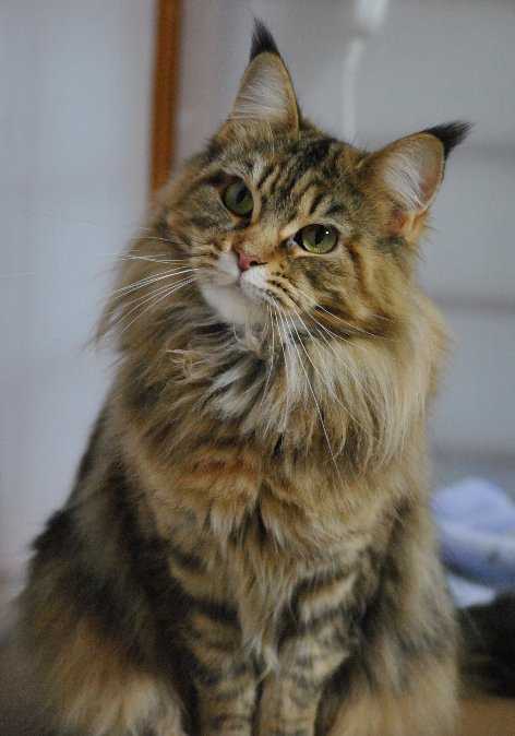 DSC_0022-st