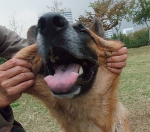 2008_1107_162356-DSCF0312