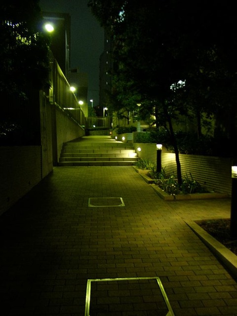 th_P1040579