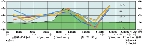 2025マイルCS断面図入り5年ラップデータ
