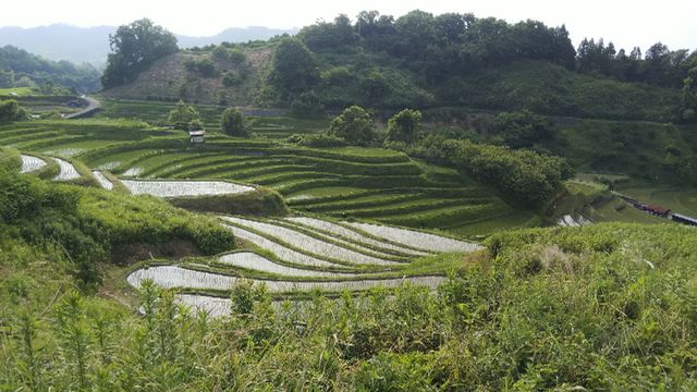 大阪府唯一の村 千早赤阪に行ってきた 19年6月22日 大阪 レインボーエクスプレス 大阪府唯一の村 千早赤阪に行ってきた 19年6月22日 大阪 レインボーエクスプレス