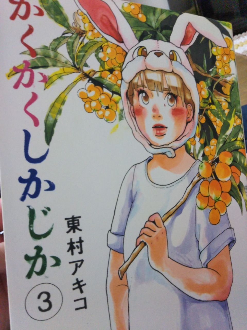 かくかくしかじか 情けなさを燃料に レインボーエクスプレス