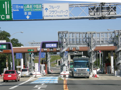 黒豆 庭の散歩 黒豆 庭の散歩